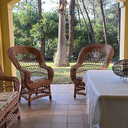 Apartamento Green Golf Islantilla Zewnętrze zdjęcie